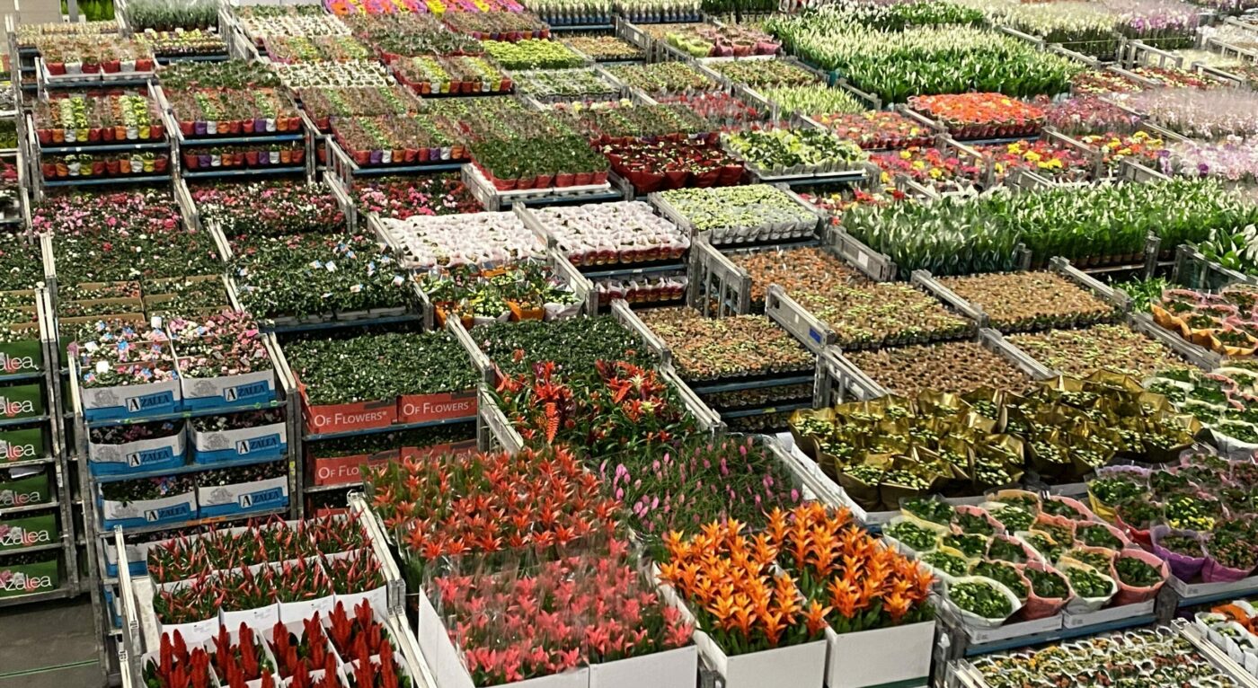 Flower distribution center