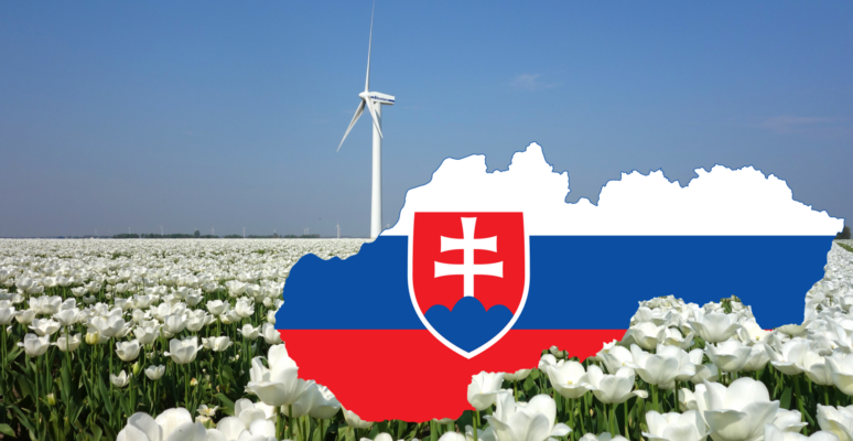 Slovak flag with a tulip field at the back